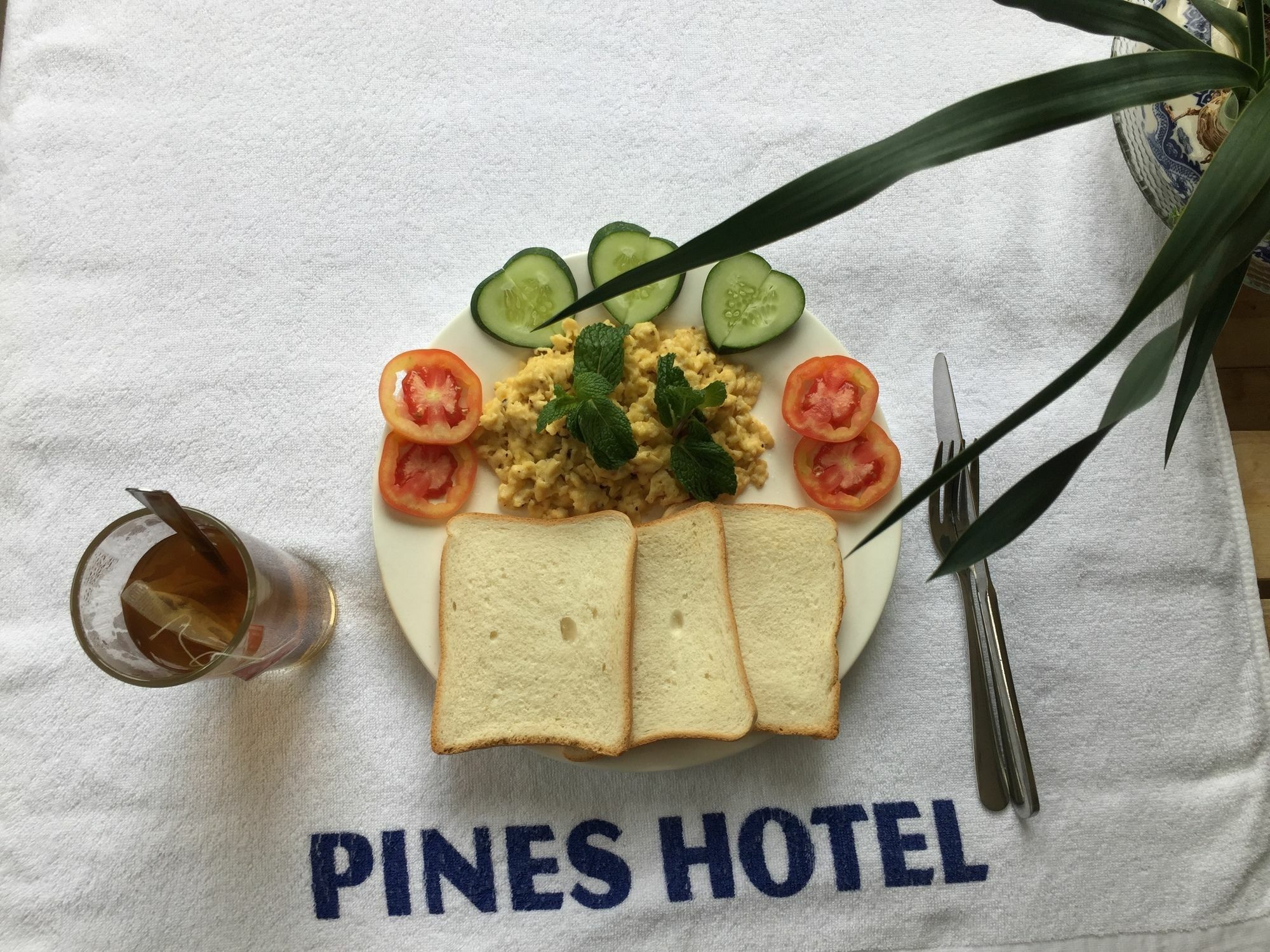Pines Hotel Da Lat Esterno foto